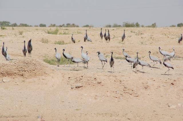 Urlaub in Indien 2016